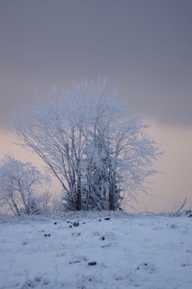 Winterberg I