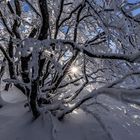 Winterberg im Sauerland