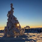 Winterberg im Sauerland