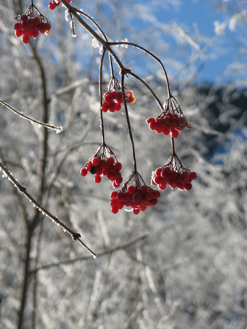 Winter,Berge