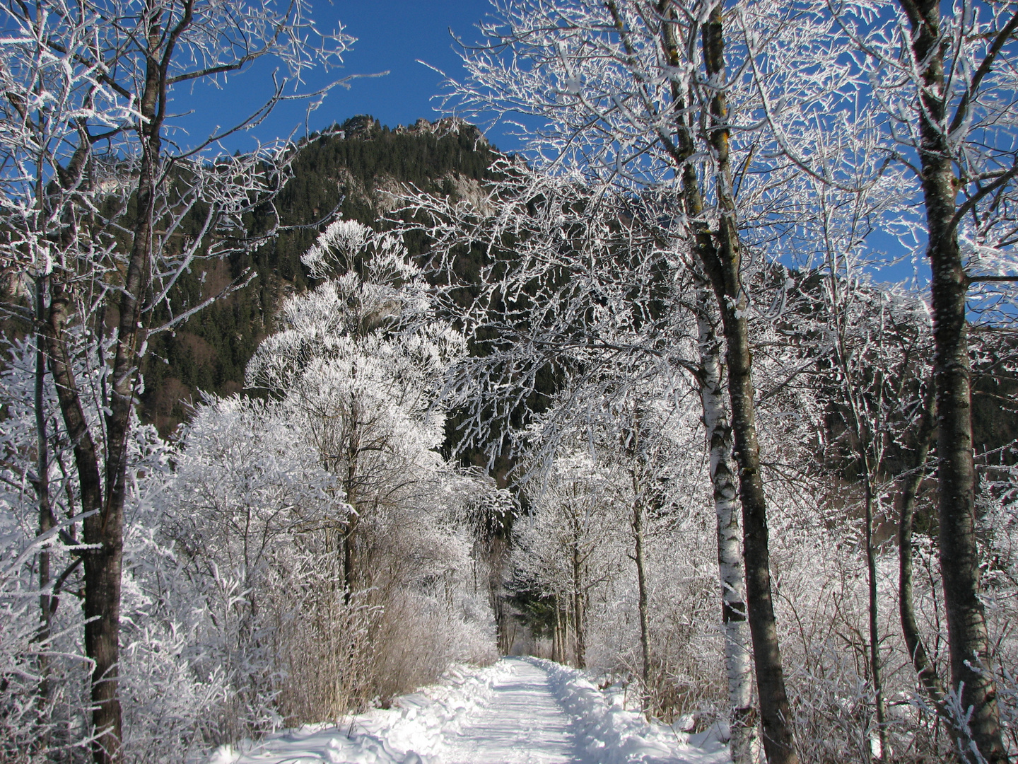 Winter,Berglandschaft
