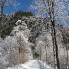 Winter,Berglandschaft