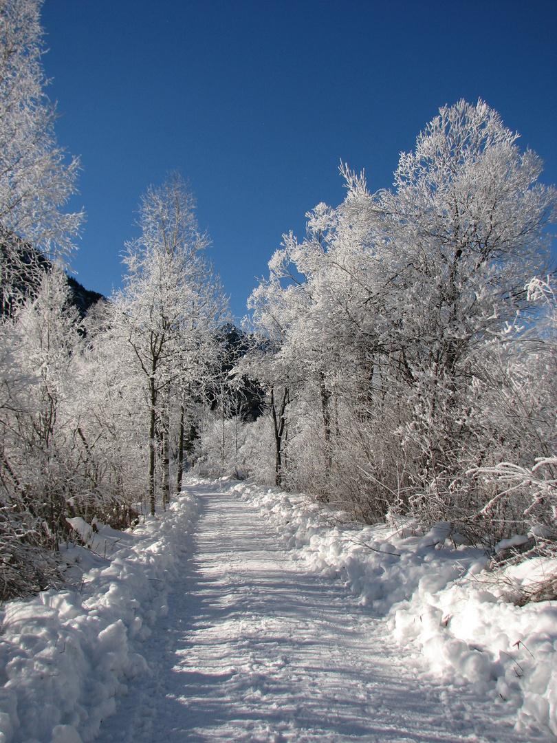 Winter,Berglandschaft