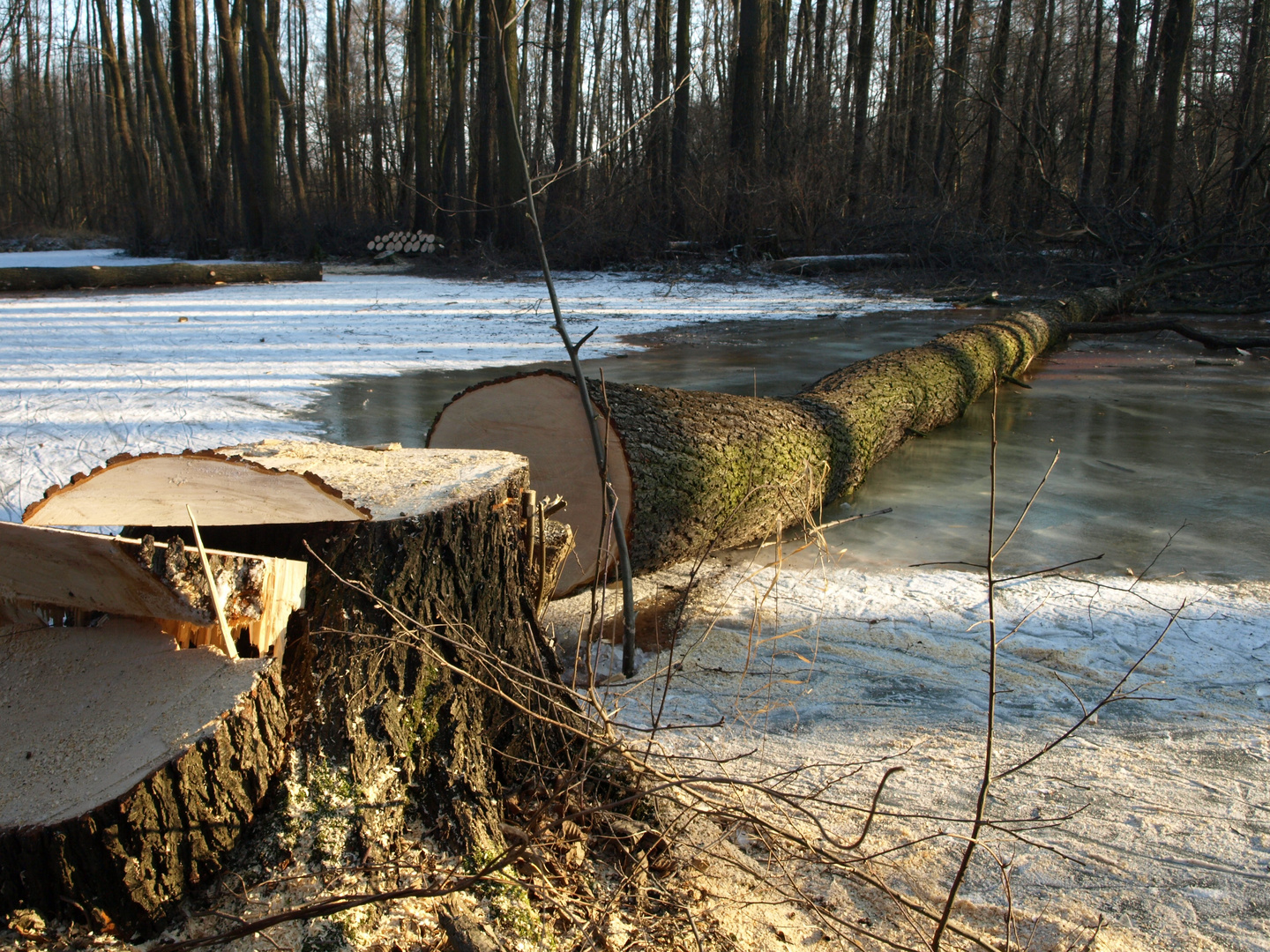 Winterbeschäftigung