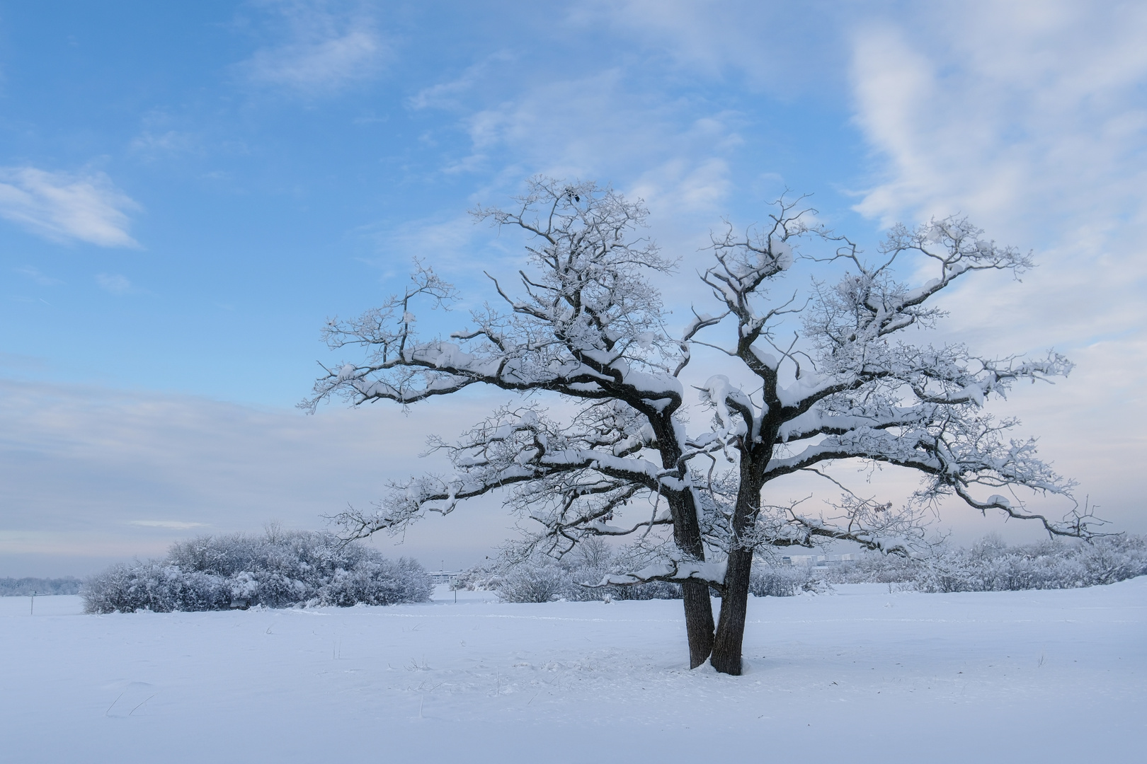 " Winterbild "