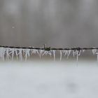 Winterbild 3