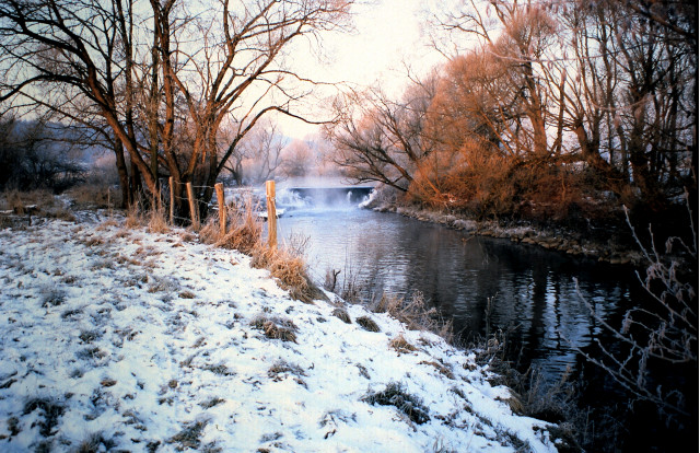 Winterbild