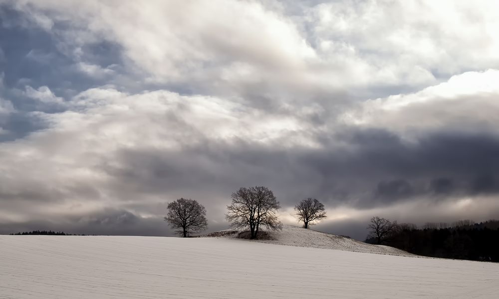 Winterbild