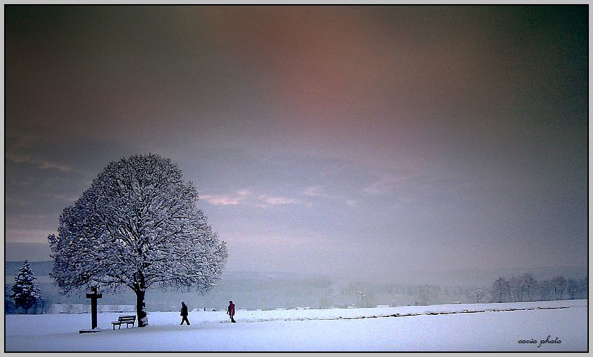 Winterbild