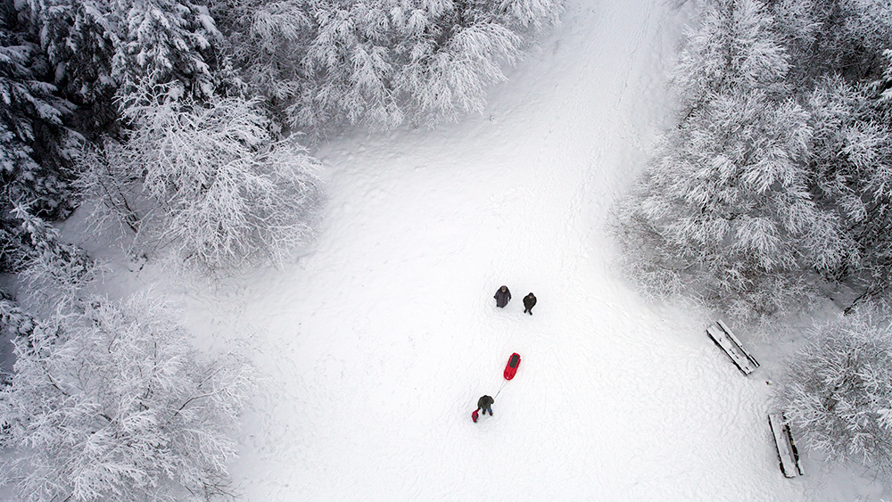 Winterbild