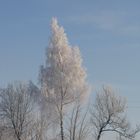 Winterbild