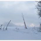 Winterbild