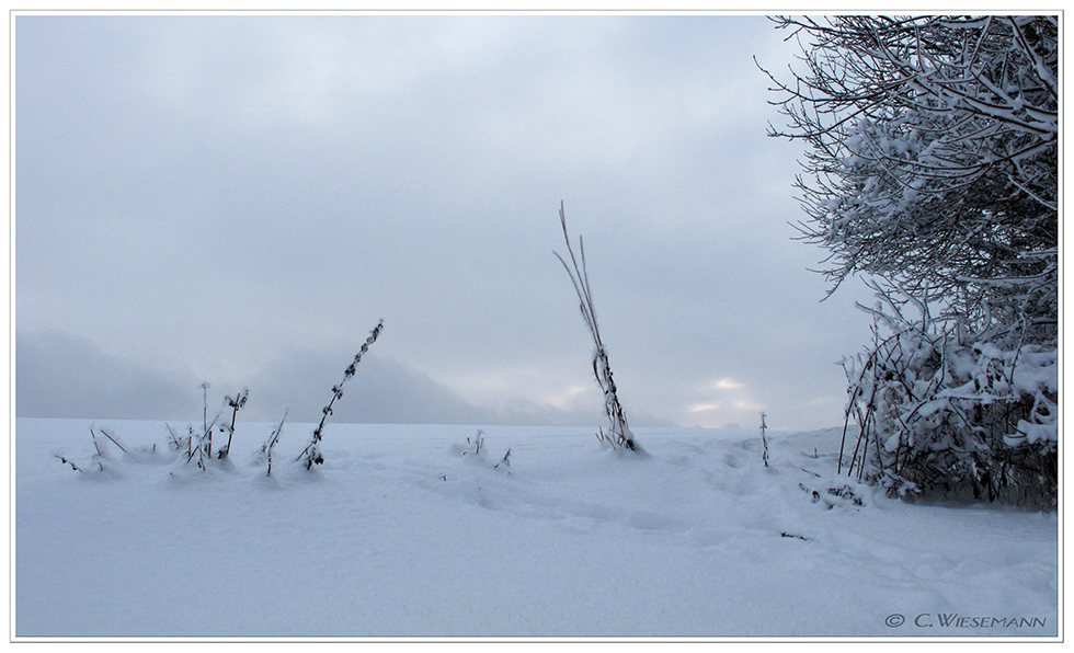 Winterbild