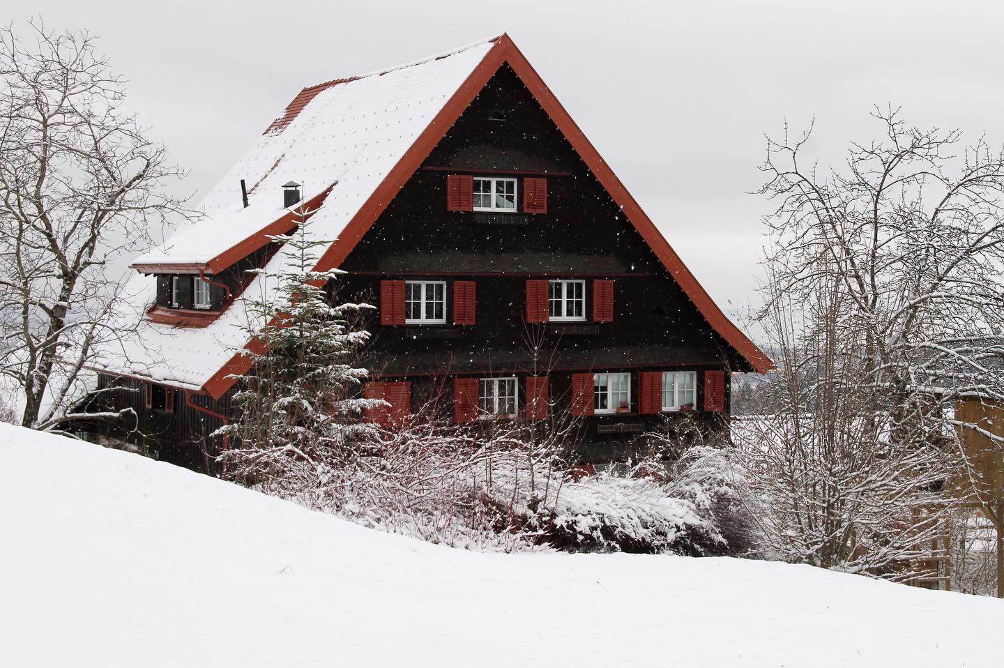 Winterbild aus dem schönen Vorarlberg 