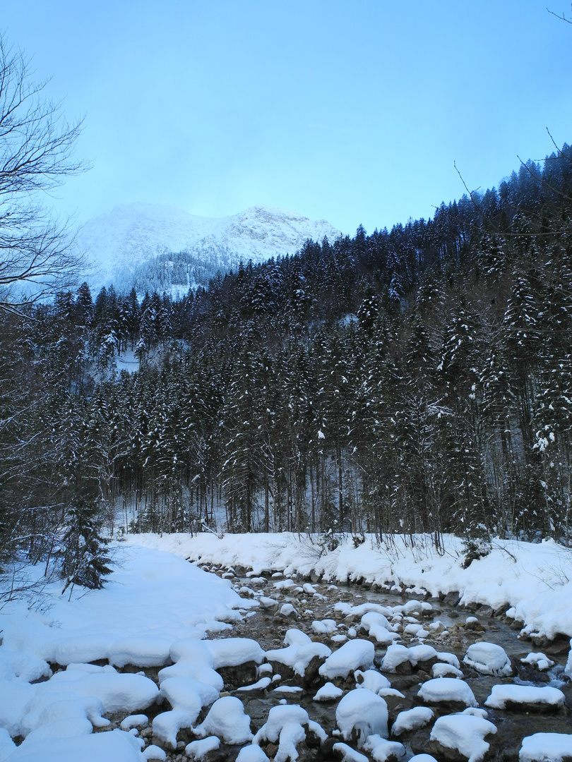 Winterbild bei Schwangau