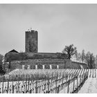 Winterbild Burg Steinsberg in Schwarz/Weiß