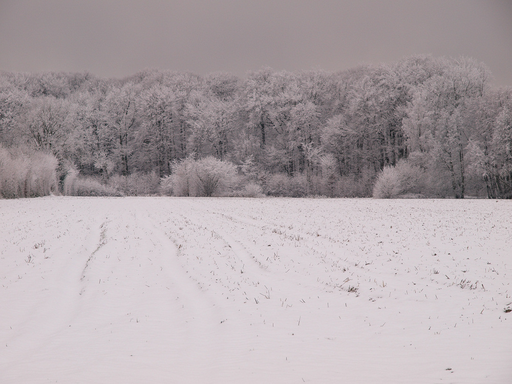 Winterbild