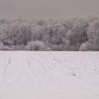 Winterbild