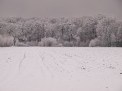 Winterbild