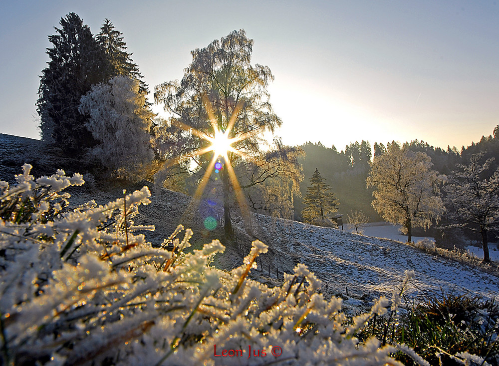 Winterbild