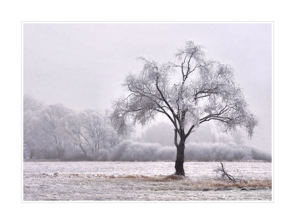 Winterbild