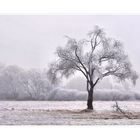 Winterbild