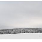 Winterbild Harz