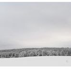 Winterbild Harz