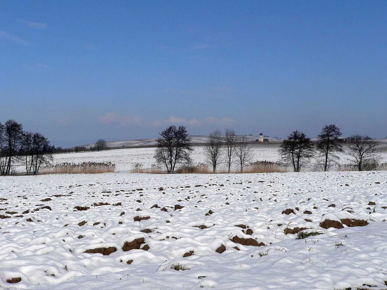 Winterbild I  -Richtung Batzenberg