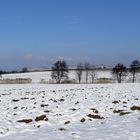 Winterbild I  -Richtung Batzenberg