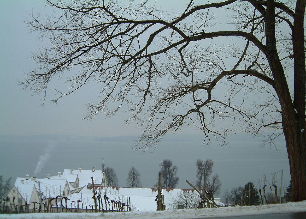 Winterbild II -Birnau/Bodensee