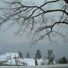 Winterbild II -Birnau/Bodensee