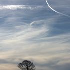 Winterbild mit Baum