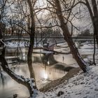 Winterbild München 8° Minus an der Isar