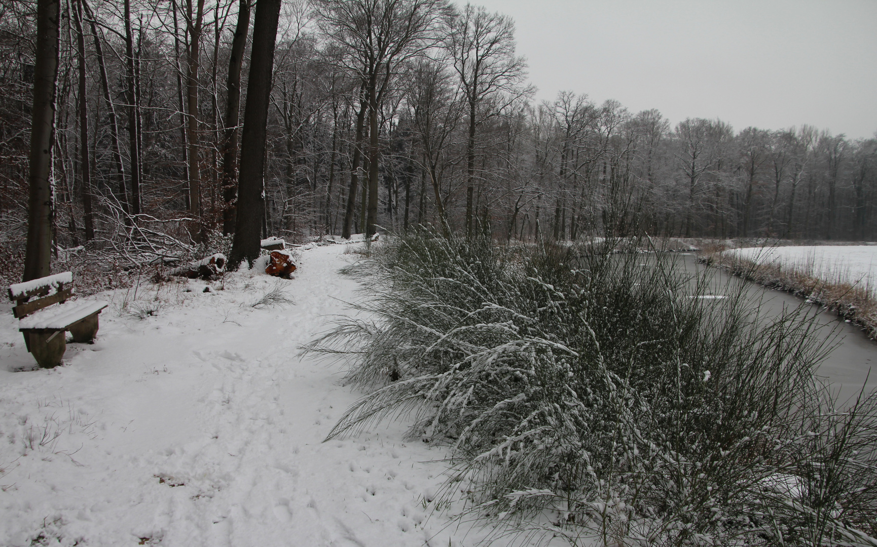 Winterbild vom ...