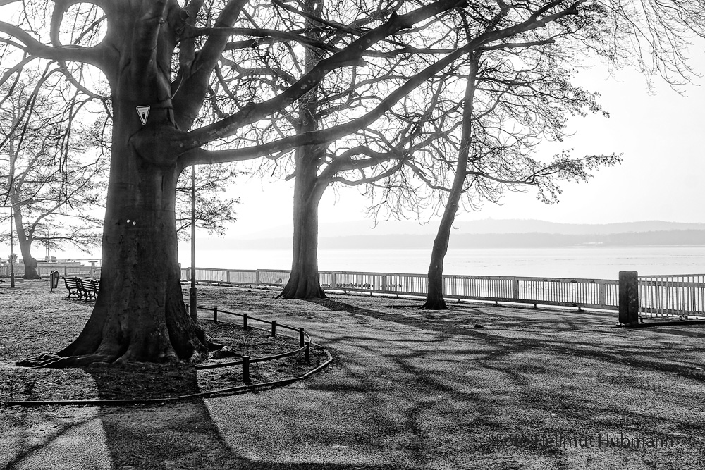 WINTERBILD VON FRÜHER AN DER DAHME