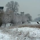 Winterbild von Zons am Rhein .