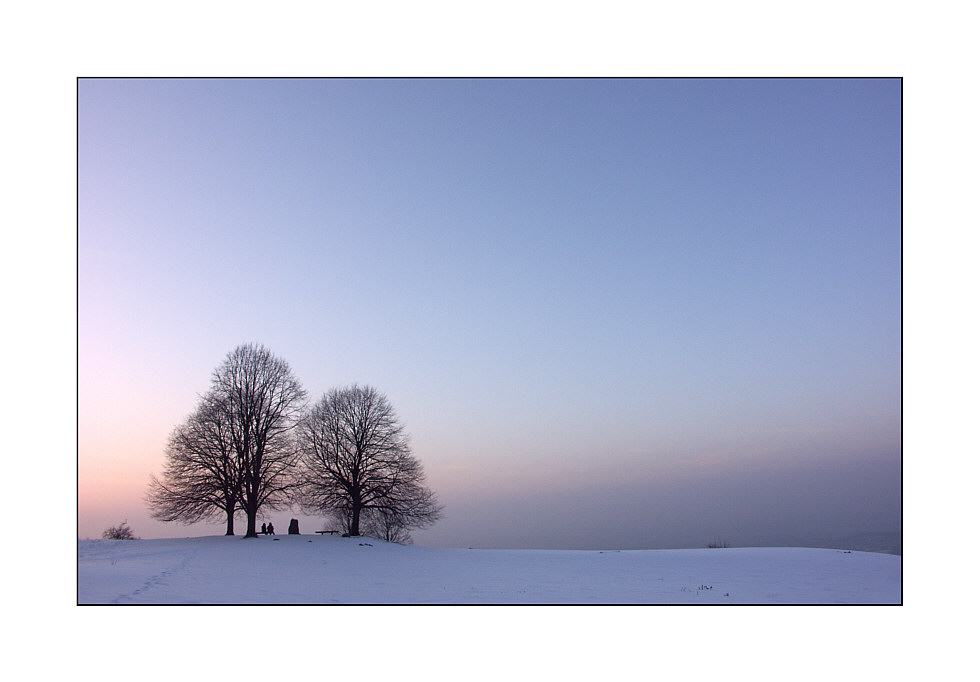 Winterbild - zum Abschied