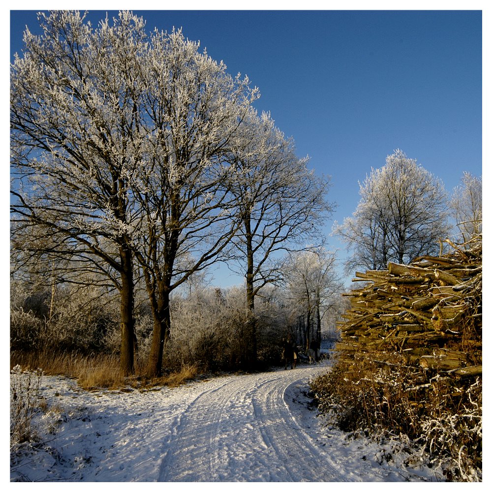 Winterbilder (1)