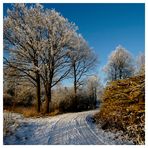Winterbilder (1)