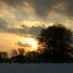 Winterbilder 1