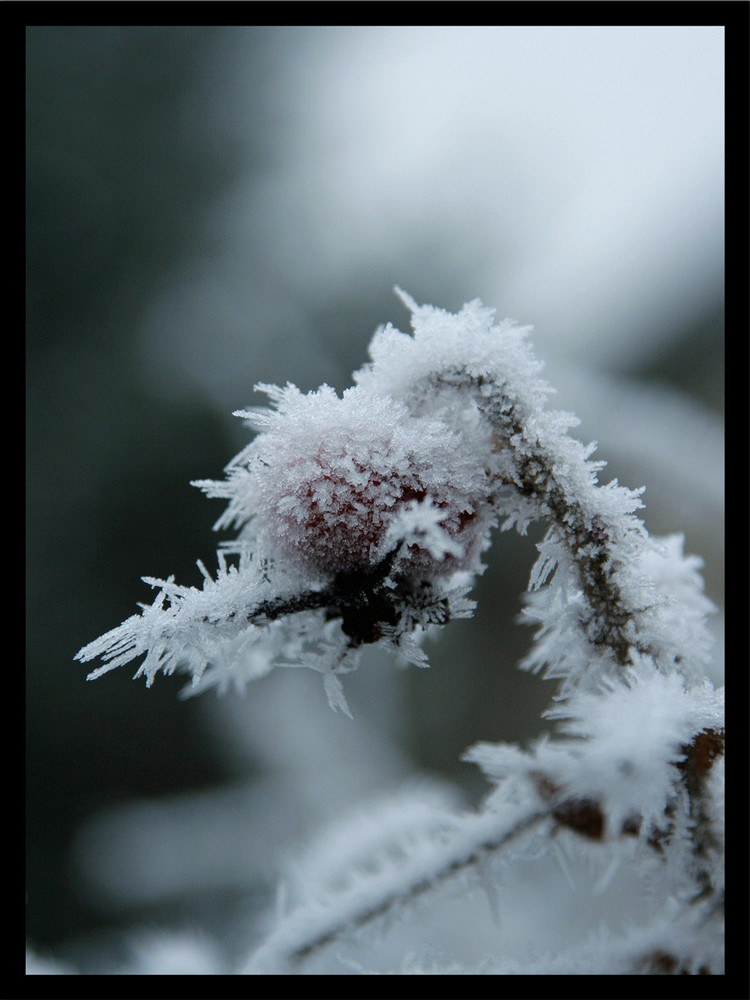 ...Winterbilder...