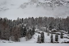 Winterbilder aus dem Engadin