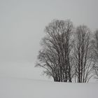 Winterbilder aus dem Engadin