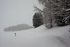 Winterbilder aus dem Engadin