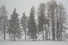 Winterbilder aus dem Engadin