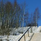 Winterbilder / die Treppe