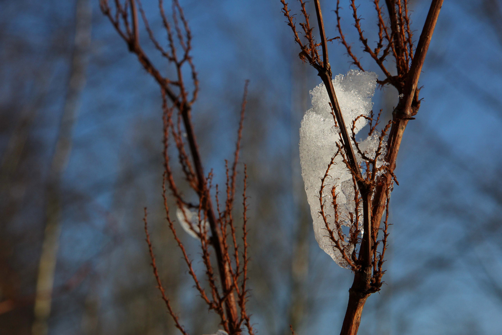 Winterbilder / "on the rocks 2"