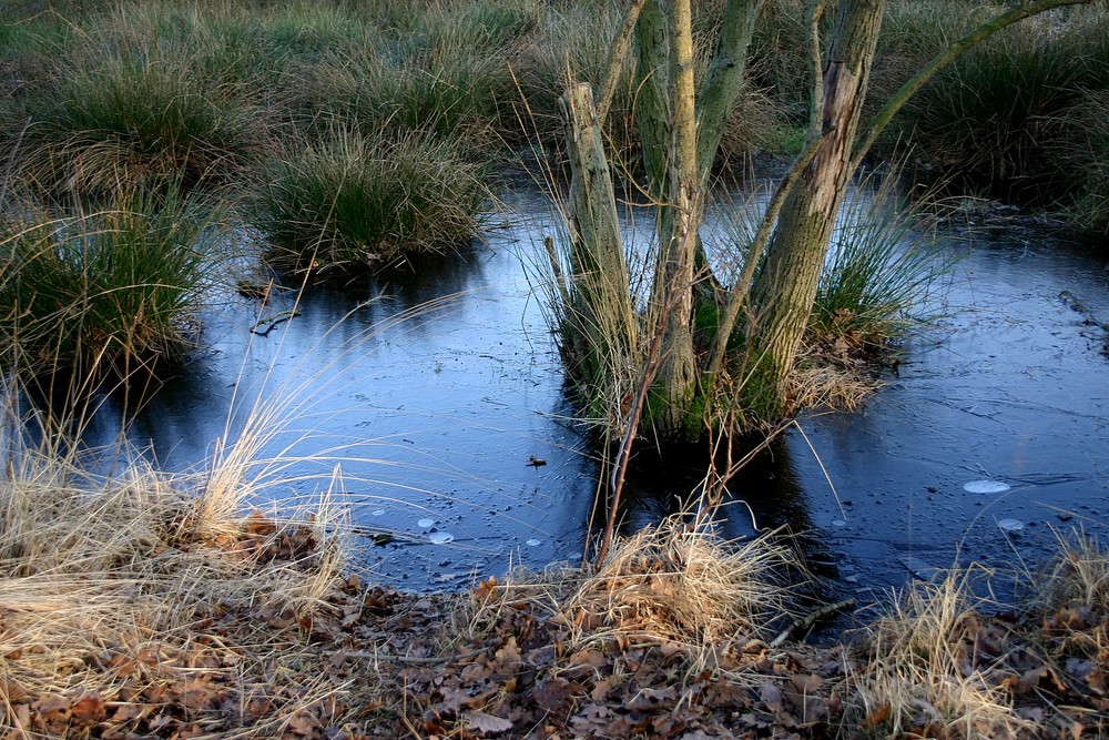 Winterblau