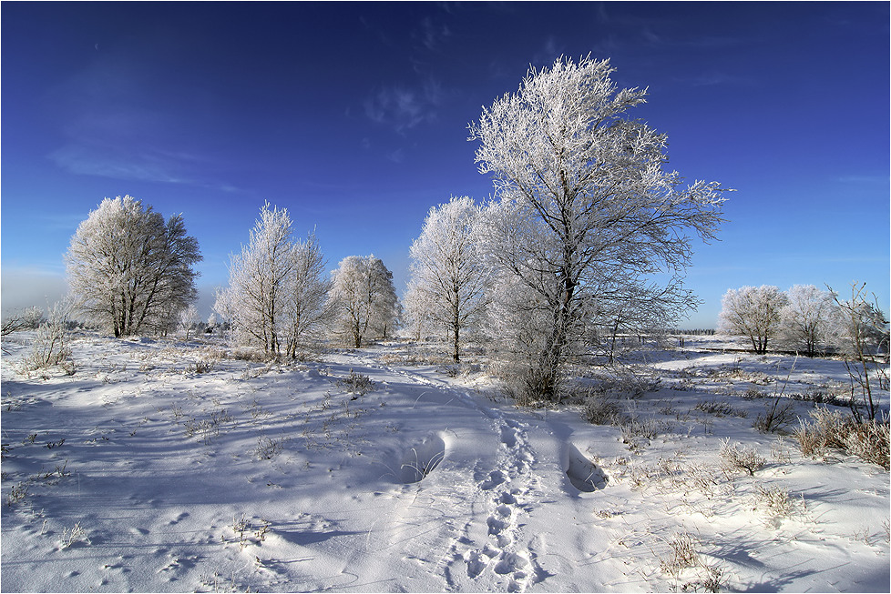 ~ Winterblau ~